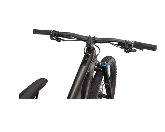 Specialized Levo Expert Carbon NB CARB/SMK/BLK (S3) Testbike neuwertig