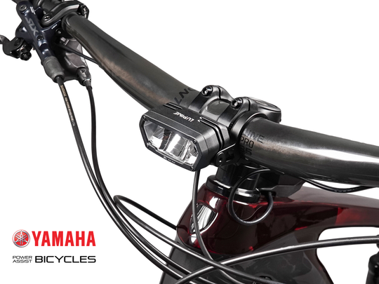 SL MiniMax für E-Bikes