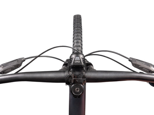 Teste die Lupine SL Mono