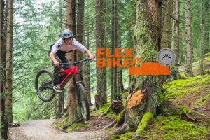 Flex Bikes (0 - 58Nm) - Der Überflieger... Ich kann, ich will, ich bin!
