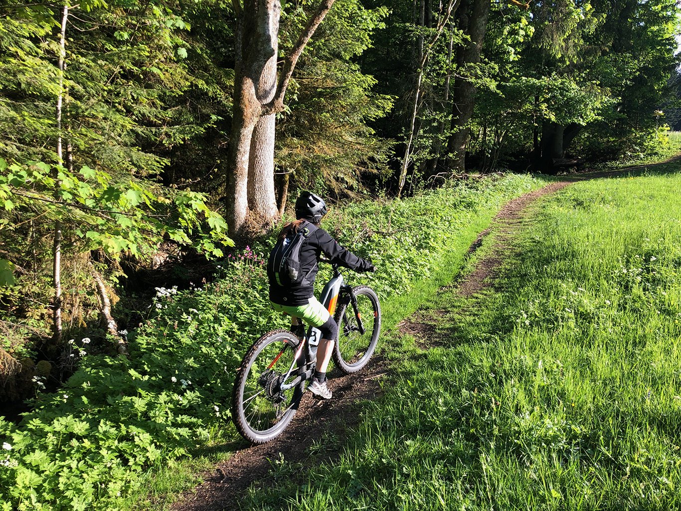Tour, City | SUV | 100 - 140 mm Federweg