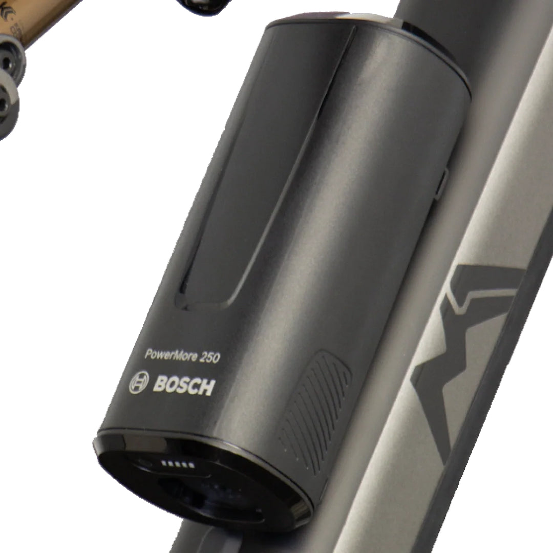 BOSCH 250 Wh Extender