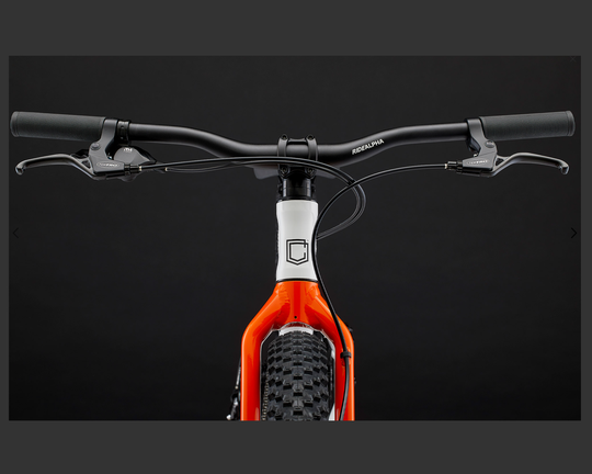 COMMENCAL Ramones 24 Trigger Shifter Pure White | MY24
