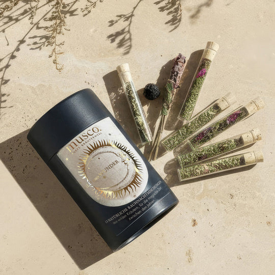 „WILD & WUNDER“ RAUHNACHTSKALENDER