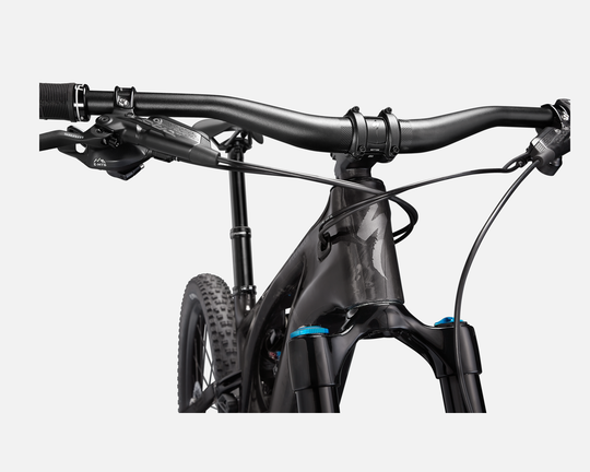 Specialized Levo Expert Carbon NB CARB/SMK/BLK (S3) Testbike neuwertig